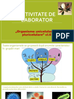 Activitate de Laborator