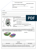 Test de Evaluare Sumativ CL 6 2