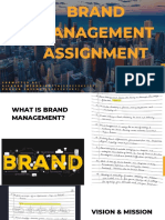Brand Management Assignment