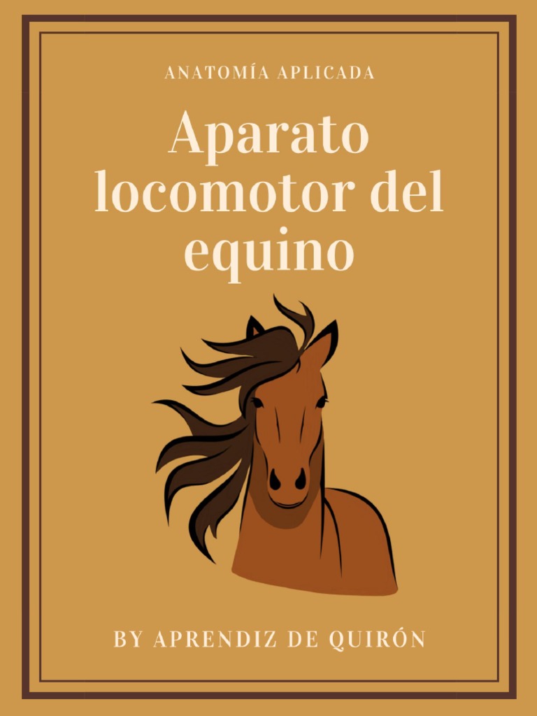 aparato-locomotor-del-equino-descargar-gratis-pdf-mano-articulaci-n