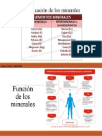 Minerales Funcion y Clasificacion