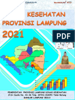 Profil Kesehatan Provinsi Lampung Tahun 2021 Compressed