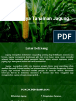Powerpoint Budidaya Tanaman Jagung Erigunawan