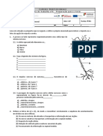 Ficha de Trabalho #1