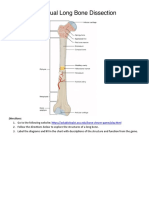 Virtual_Long_Bone_Dissection 2