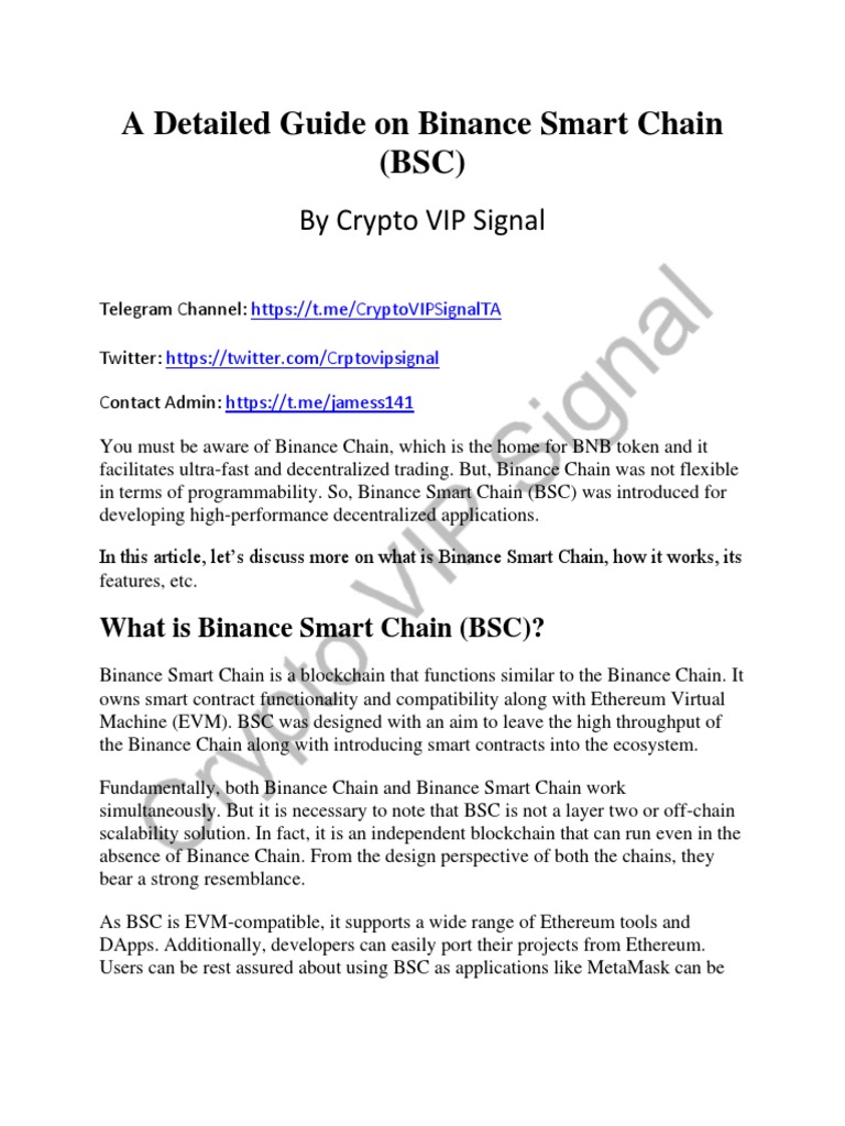 Binance Smart Chain Overview Guide | PDF | Application Layer Protocols ...