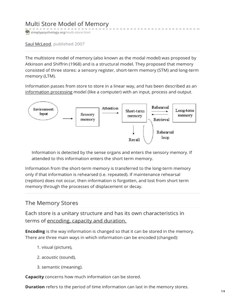 Simplypsychology.org Multi Store | PDF | Memory | Long Term Memory