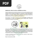 1.Ripoll.memòriaCAT