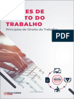 DIREITO DO TRABALHO: PRINCÍPIOS FUNDAMENTAIS