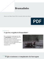 Tragedia de Brumadinho: causas, impactos e consequências do rompimento da barragem da Vale em 2019