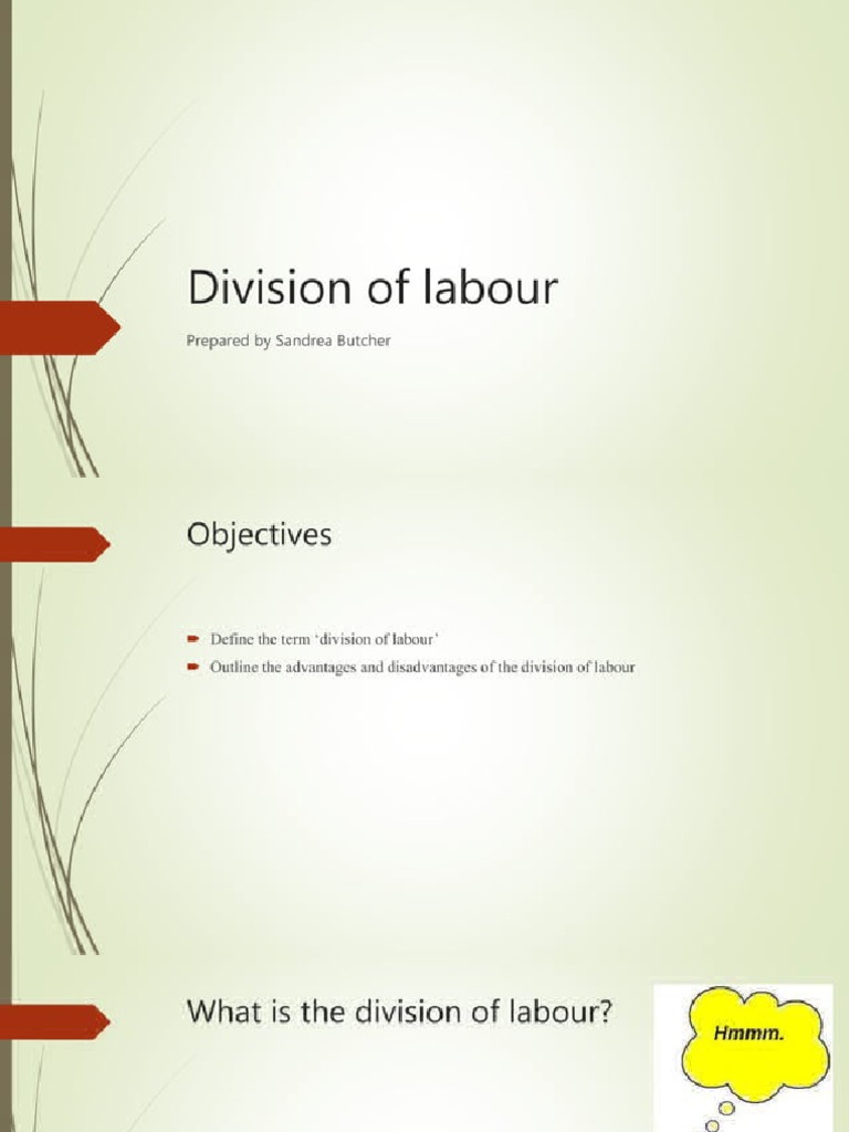 Division of Labour | PDF