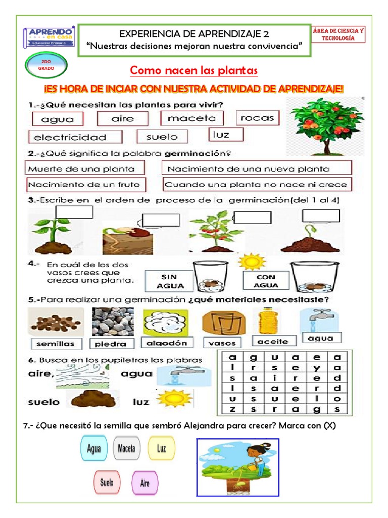 Ficha de Ciencia y Tecnología 11 de Abril | PDF