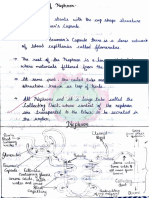 Double Loop Structure of the Nephron Filters Blood Wastes