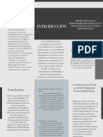 Triptico Folleto Formal Negro Gris Dorado