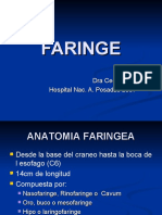 FARINGE Pregrado