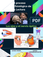1°jg 06-09-2022 El Proceso Neurofisiológico de La Lectura