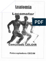 Locomotor