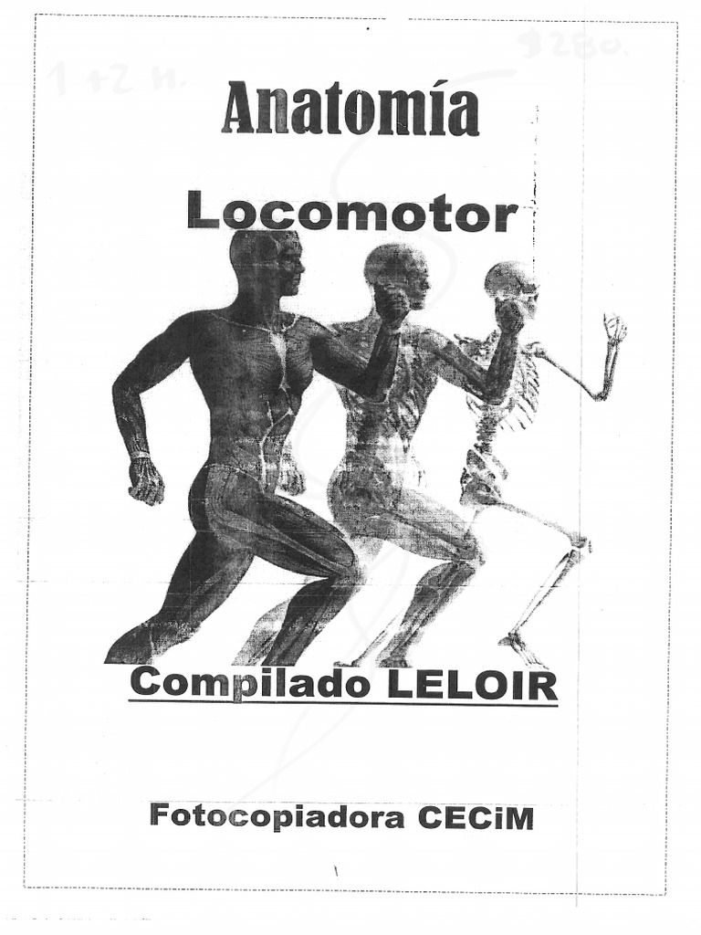 Wearable Power Assist Locomotor