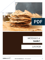 Mod6 L1 LAVASH