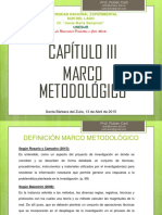 Capitulo III Marco Metodológico