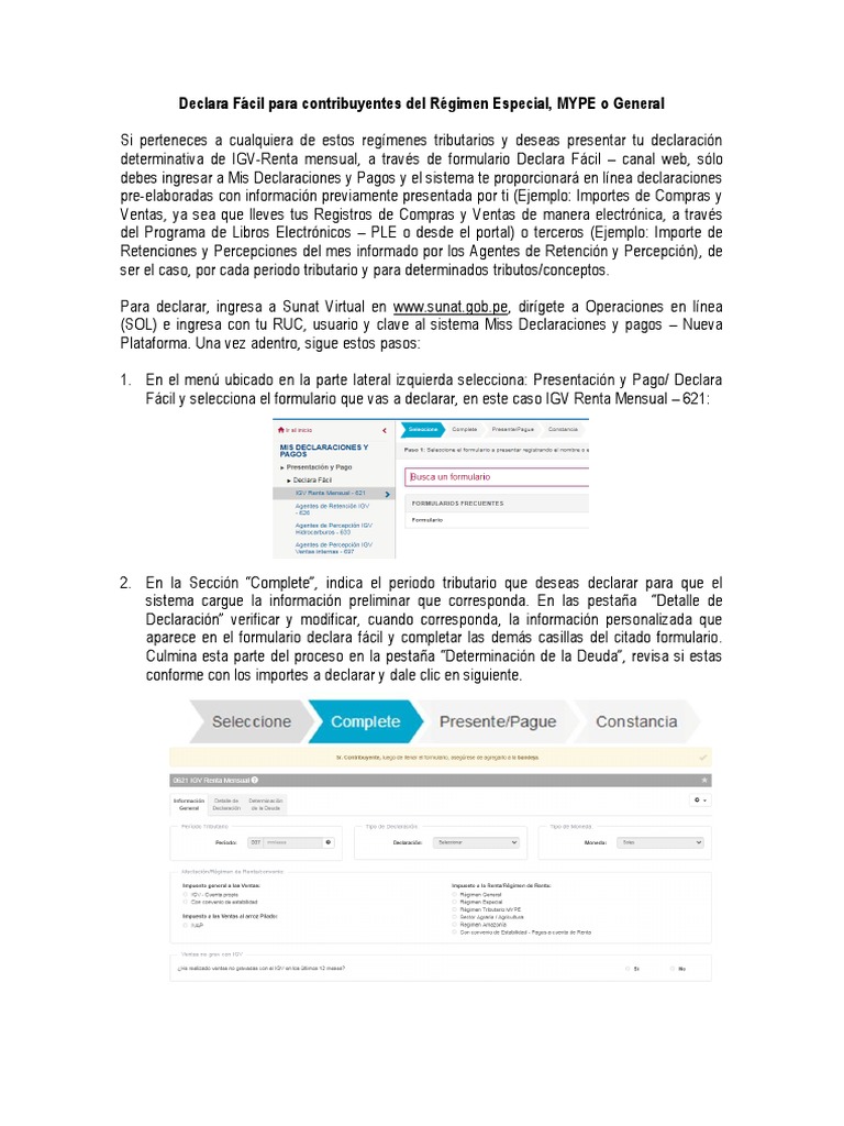 Declara Fácil para Contribuyentes Del Régimen Especial, Mype y General ...