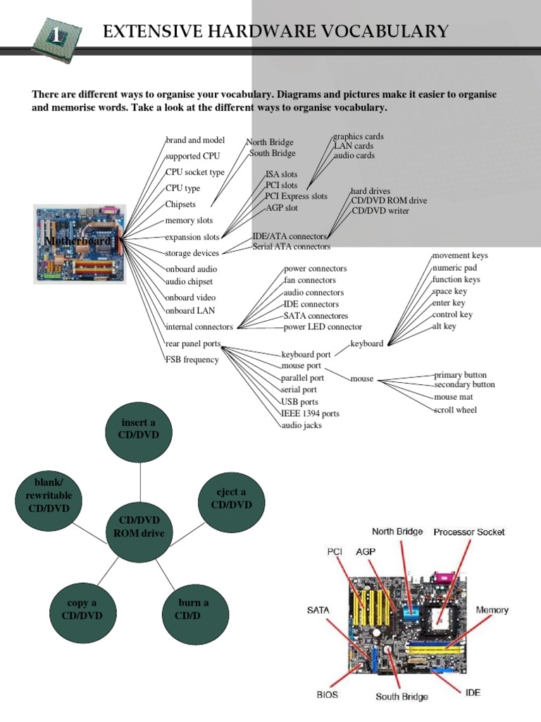Extensive Hardware Vocabulary PDF Electrical Connector Computer