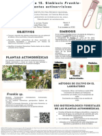 Práctica No.15. Simbiosis Frankia-Plantas actinorrízicas-ENCB - Microbiología Del Suelo