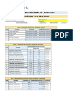 Informe Analisis Capacidad