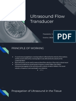 BST PPT - Ultrasound Flow Transducer