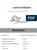 Mina San Francisco_Zeolita Como Fertilizante