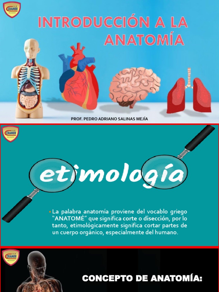 Espina bífida - Christopher \u0026 Dana Reeve Foundation, image size:768x1024