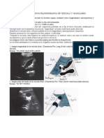 Protocolo de Exploracion Ultrasonografica de Vesicula Biliar y Vias Biliares