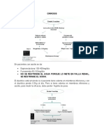 Sintesis Cirrosis