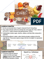 Power Generators - Carbohydrates and Lipids 