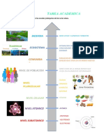 TAREA 