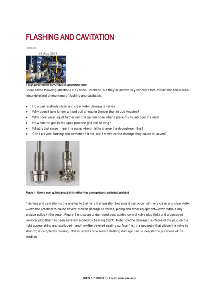 Flashing and Cavitation PDF Pump Boiling