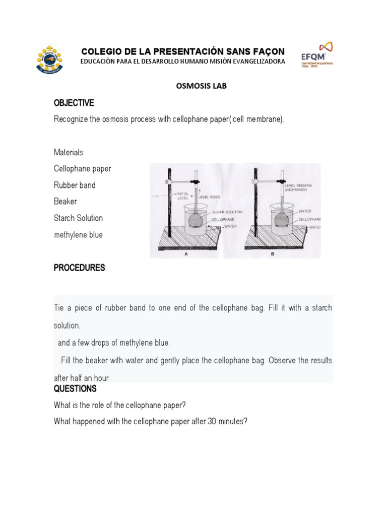 Exploring Osmosis Through Cellophane Using Model Cell Membranes to