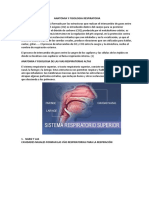 Anatomia y Fisiologia Respiratoria