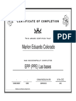 Certificate Epp Ppe Las Bases 6372e256347add44e704030c