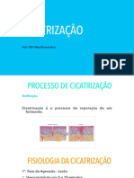 Cicatrização 2