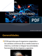 Histología Sistema Nervioso