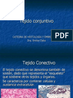 Tejido Conjuntivo