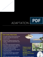 14 - Adaptation & Species