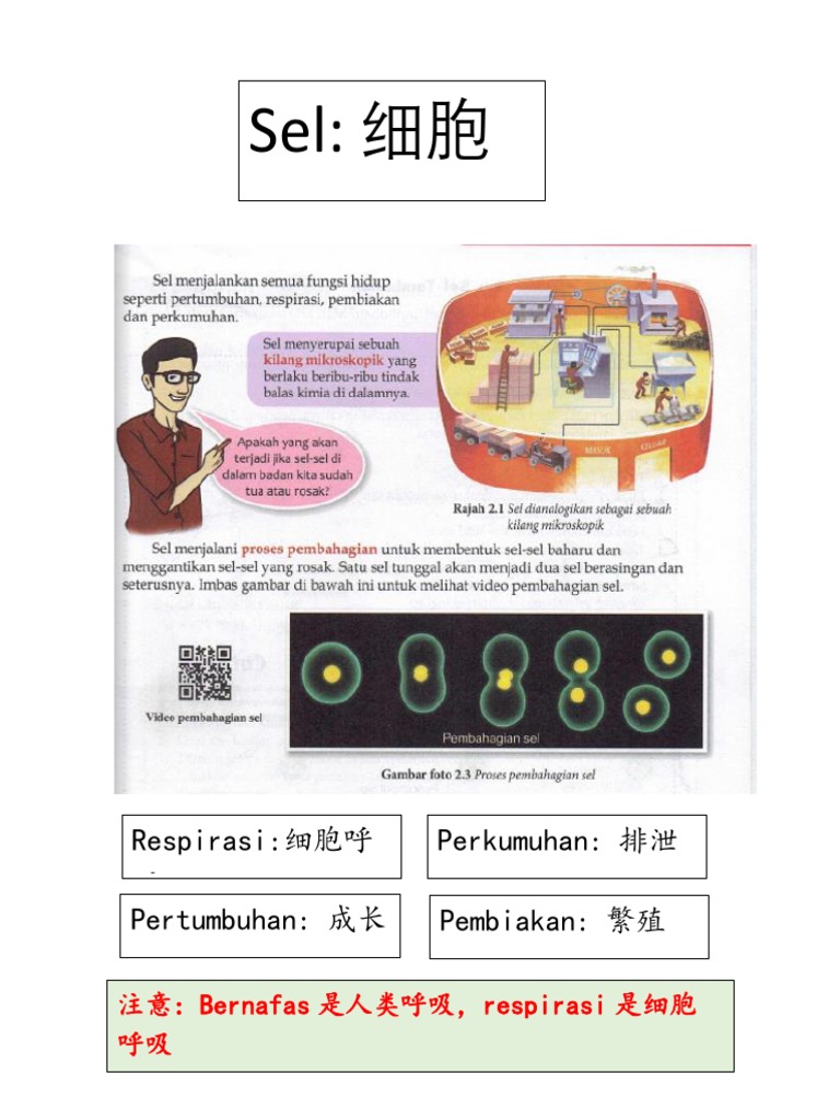 Sains Tingkatan 1 | PDF