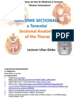 Anatomia Sectionala A Toracelui 2021-38303