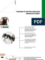 PDF Semut