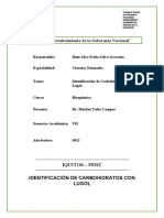 Informe - Identificacion de Carbohidratos Con Lugol