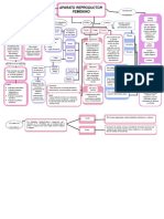 Mapa Conceptual Aparato Reproductor Femenino 10