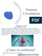 Sistema Circulatorio