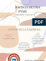 Presentacion Final Pymes